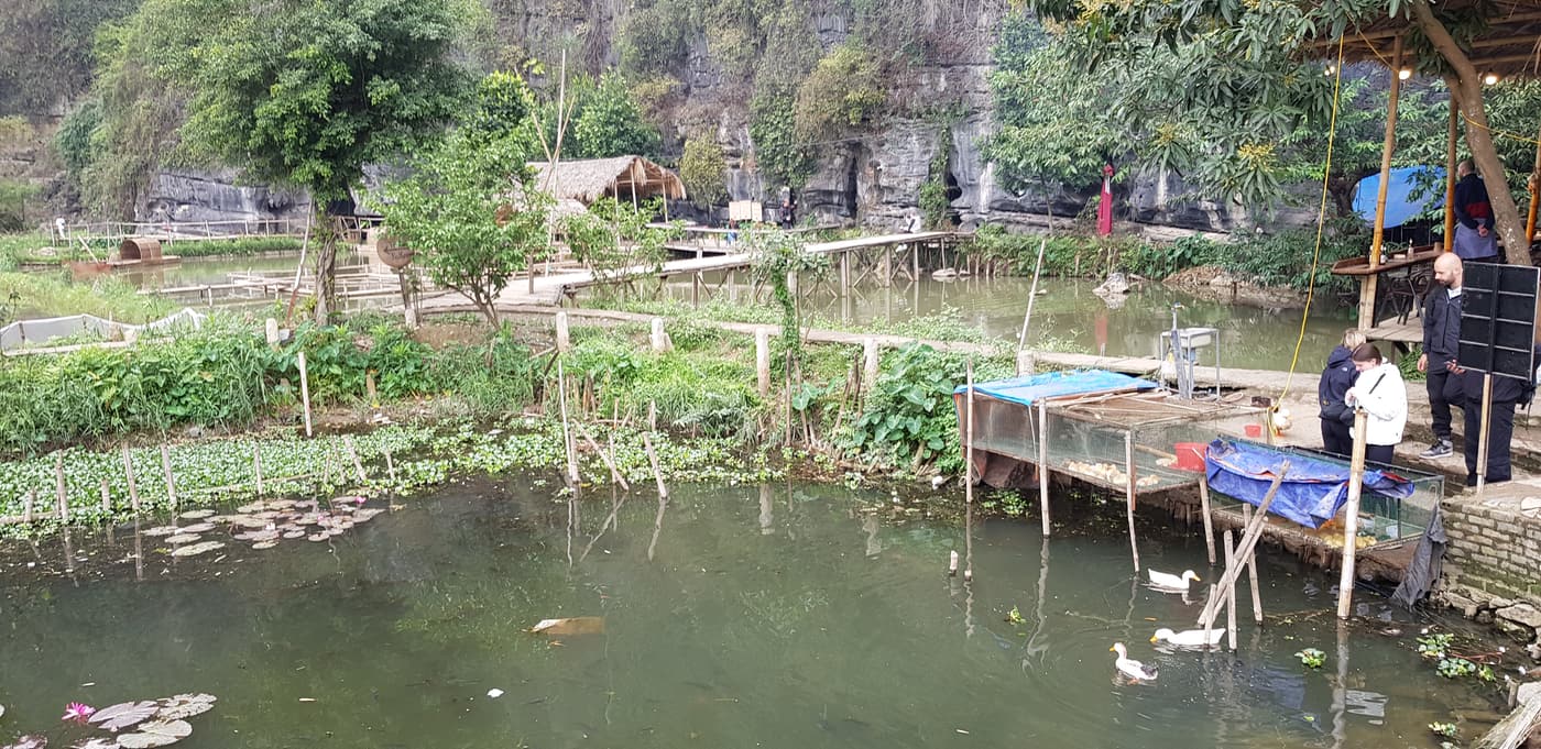 Karst cliffs and water at Tam Coc, Ninh Binh